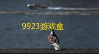 9923游戏盒